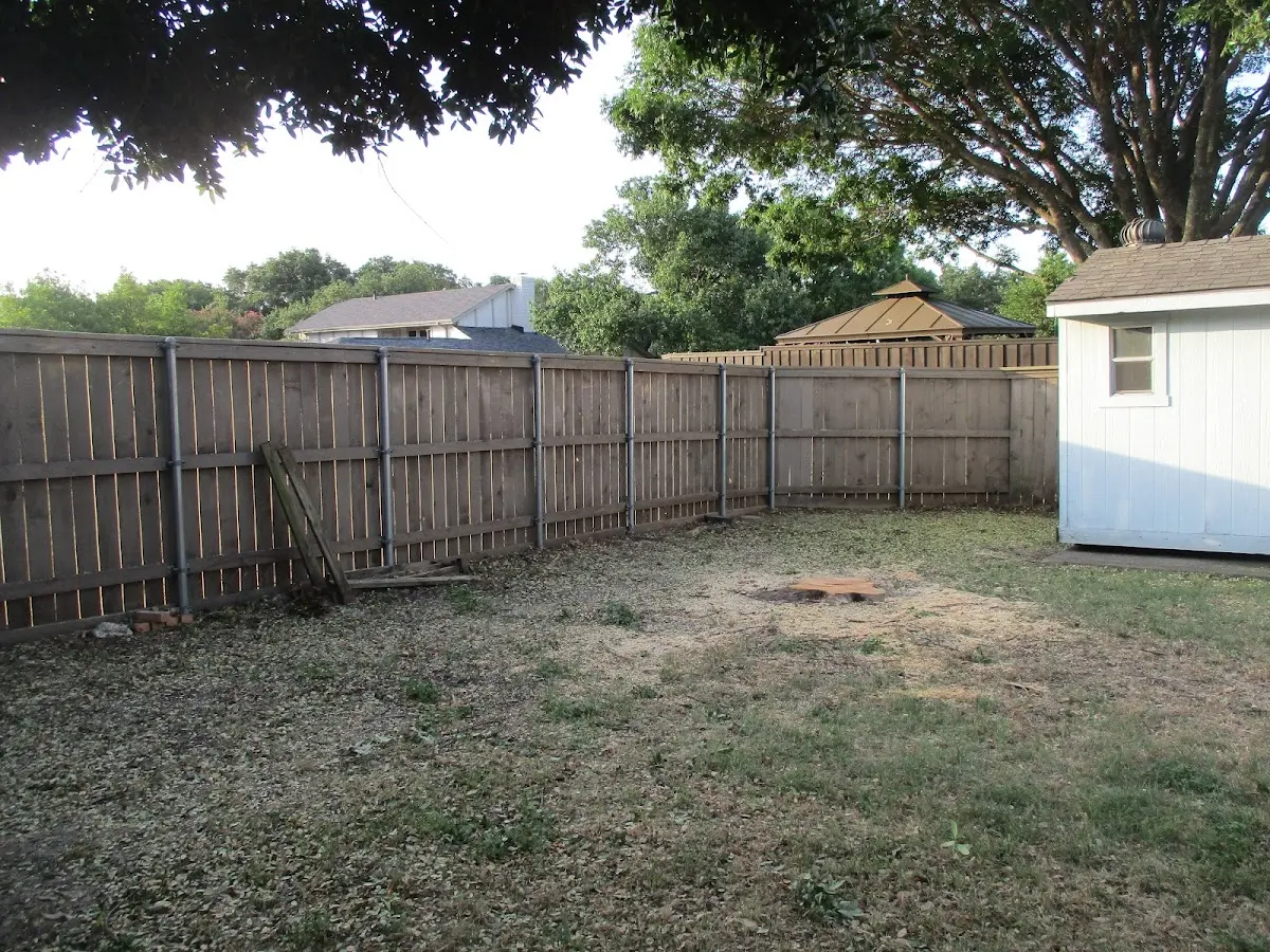 Cleared yard after professional tree removal in Londonderry